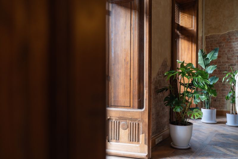 Plante verte décorative en pot — monstera et pothos