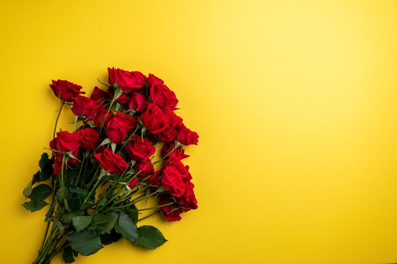 Roses rouges et roses — catégorie interflora