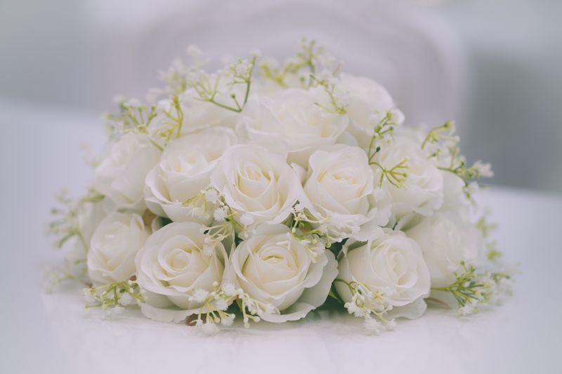 Pivoines roses — catégorie fleurs de saison